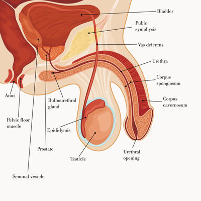 image-32